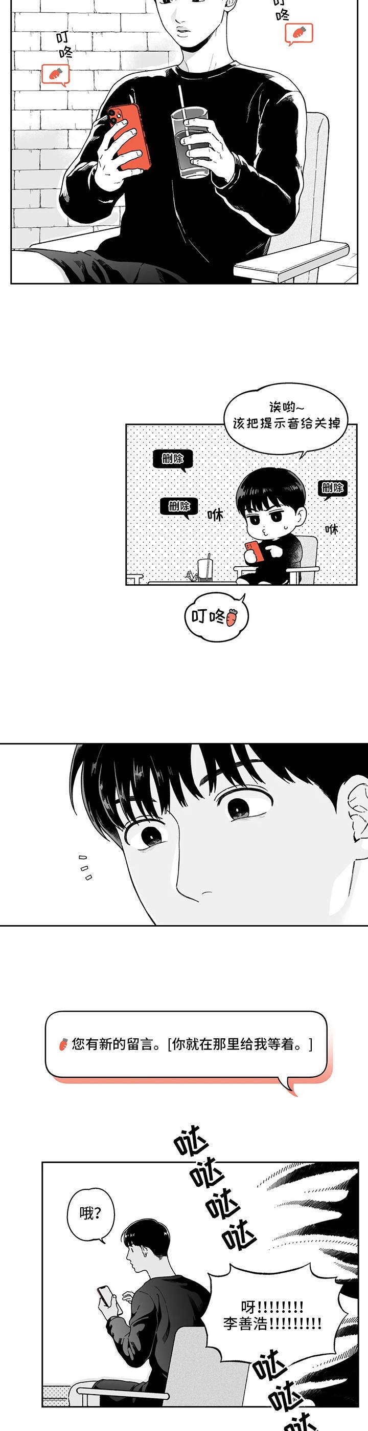 第19章：解释