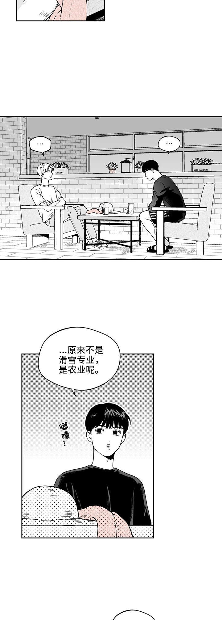 第19章：解释