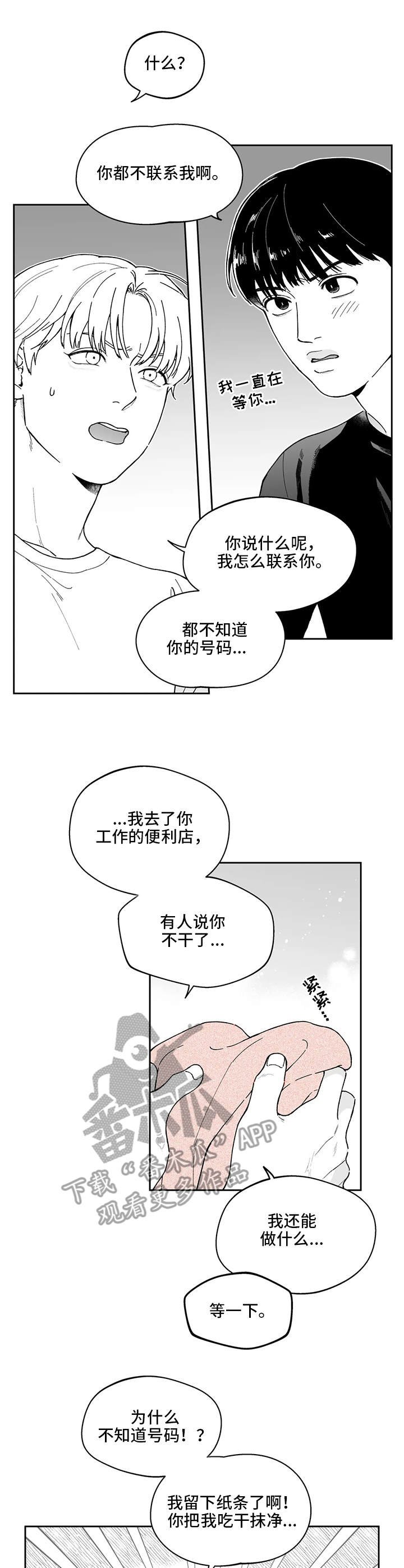 第19章：解释