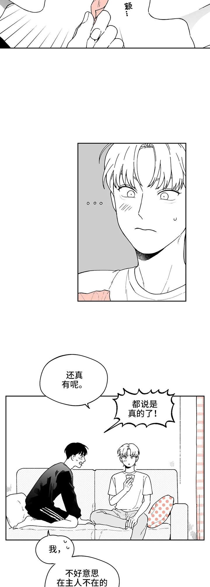 第19章：解释