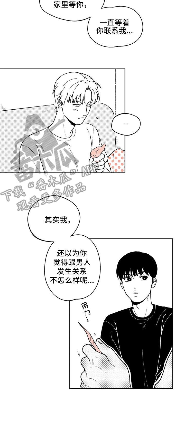 第19章：解释