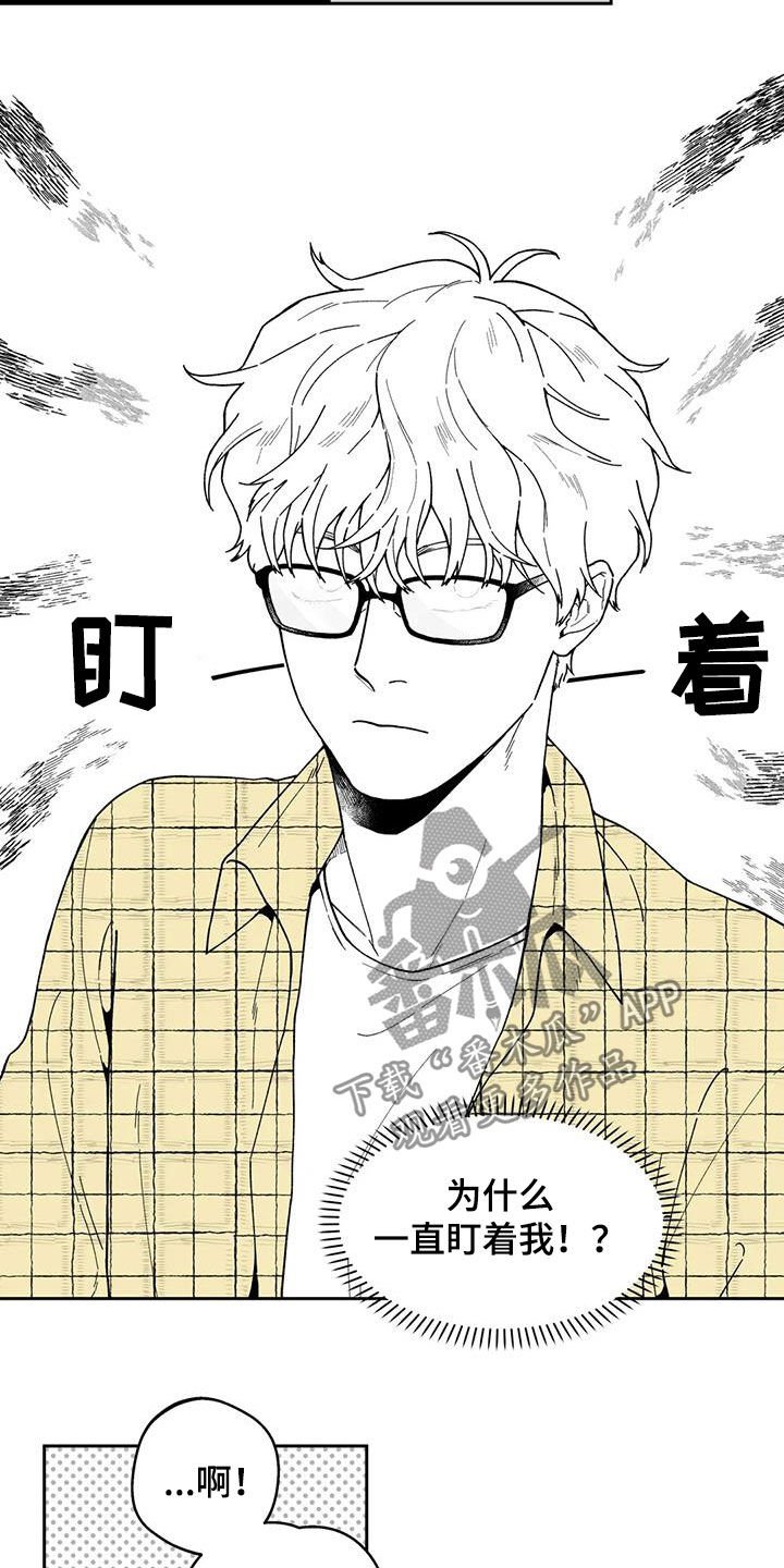 第24章：【第二季】一直盯着