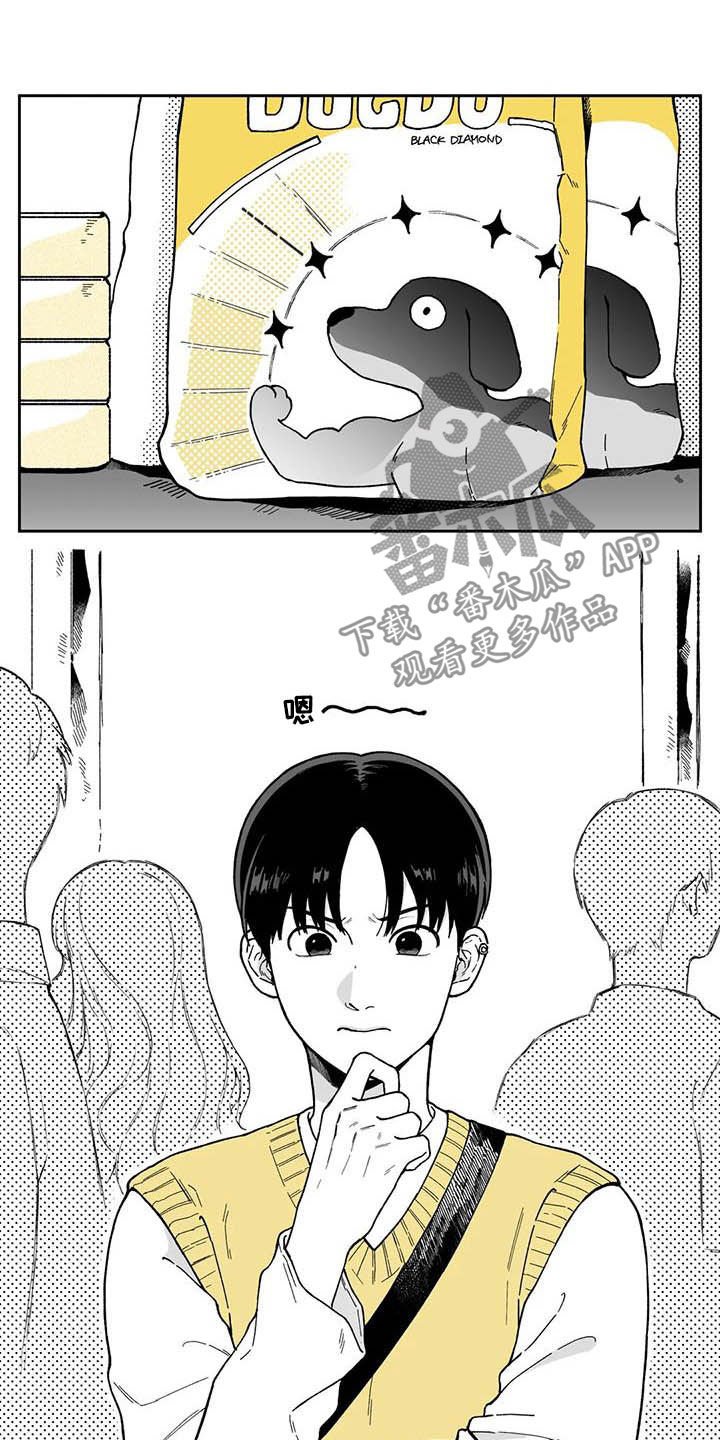 第28章：【第二季】眼镜