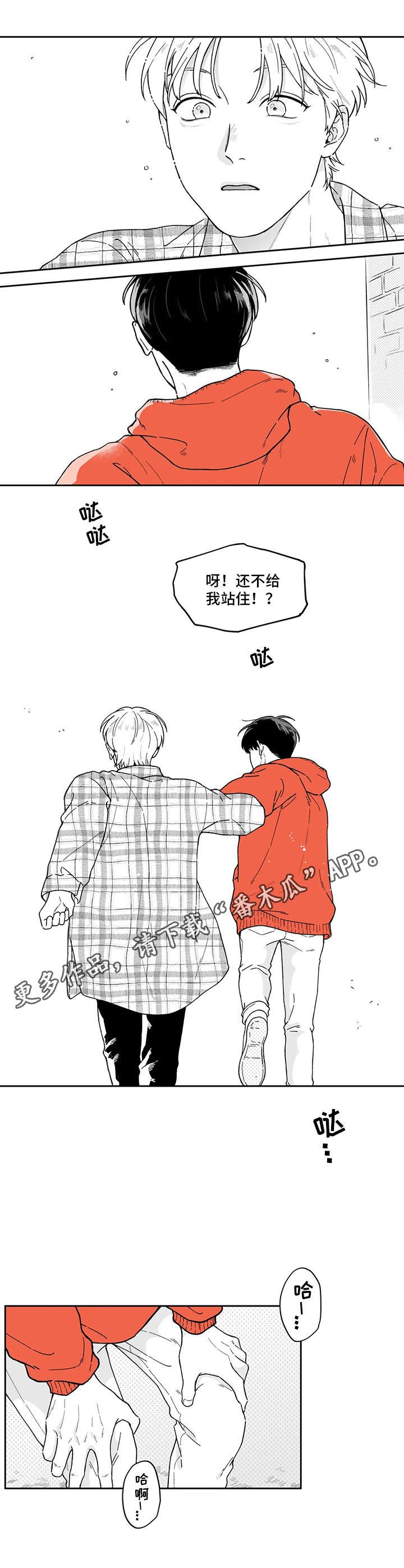 第8章：插手