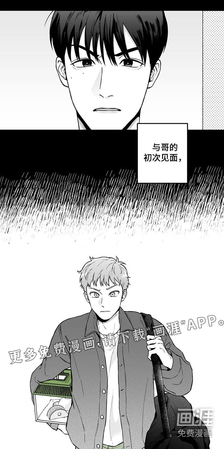 第94章：【第二季】规则