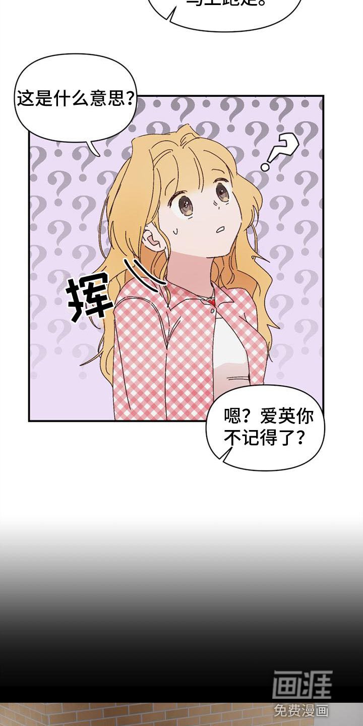 第17章：不记得