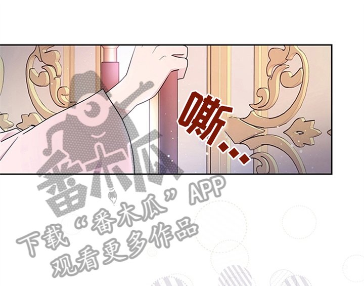 第13章：新印象