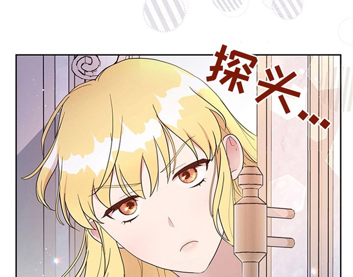 第13章：新印象
