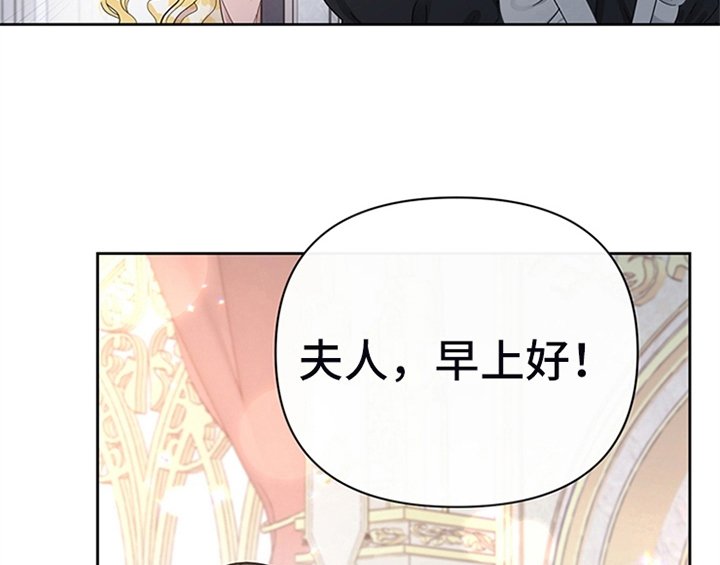 第13章：新印象
