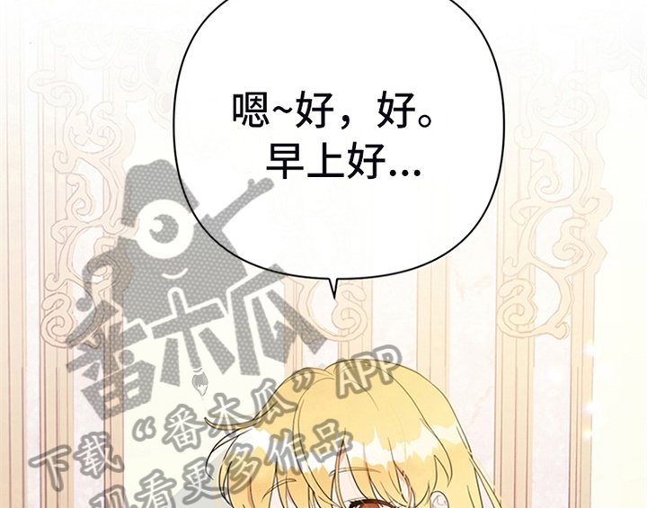 第13章：新印象