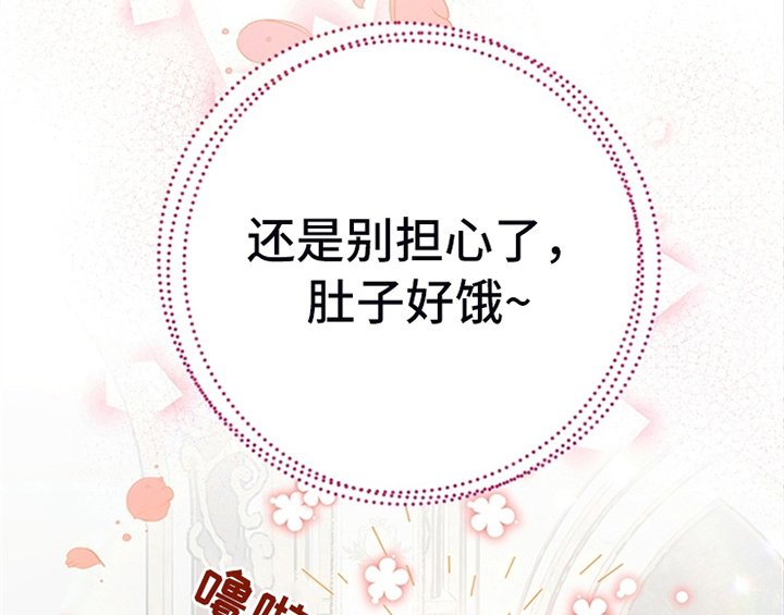 第13章：新印象