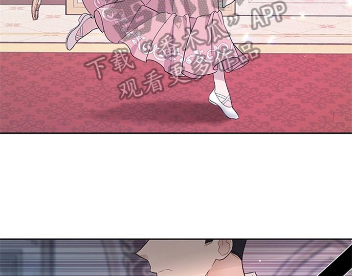 第13章：新印象