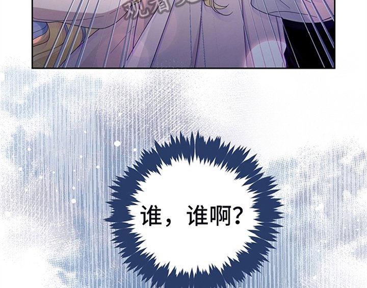 第13章：新印象