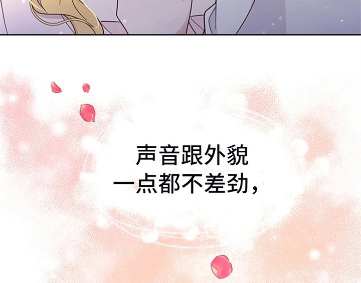 第13章：新印象