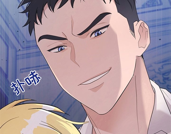 第13章：新印象