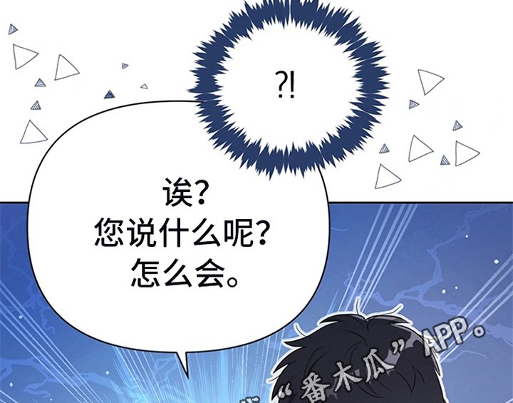 第13章：新印象