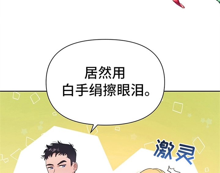 第14章：手绢