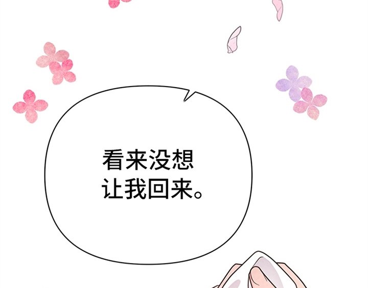 第14章：手绢