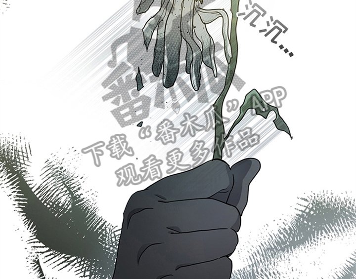 第18章：礼物
