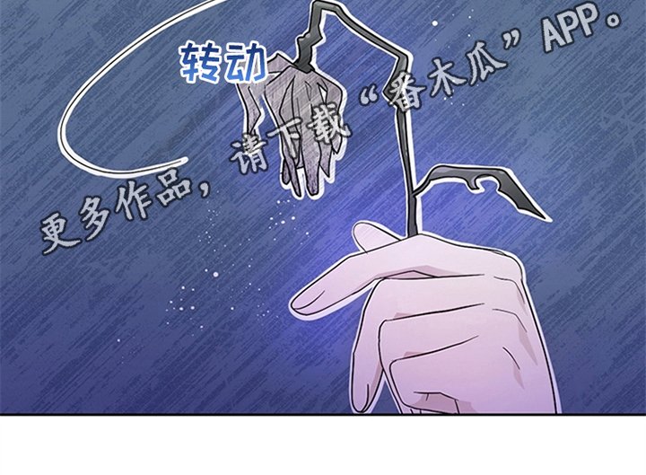 第18章：礼物