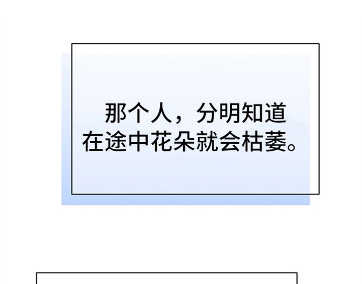 第19章：问答