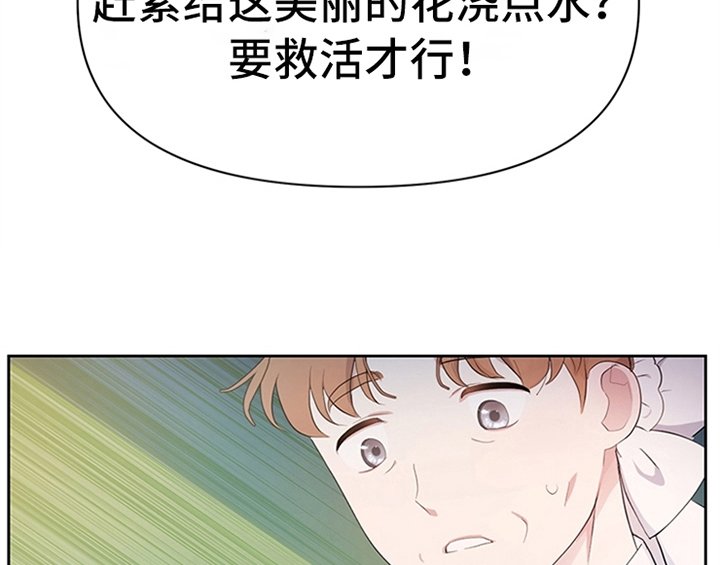 第19章：问答
