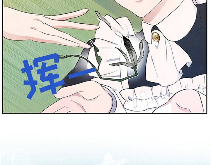 第19章：问答