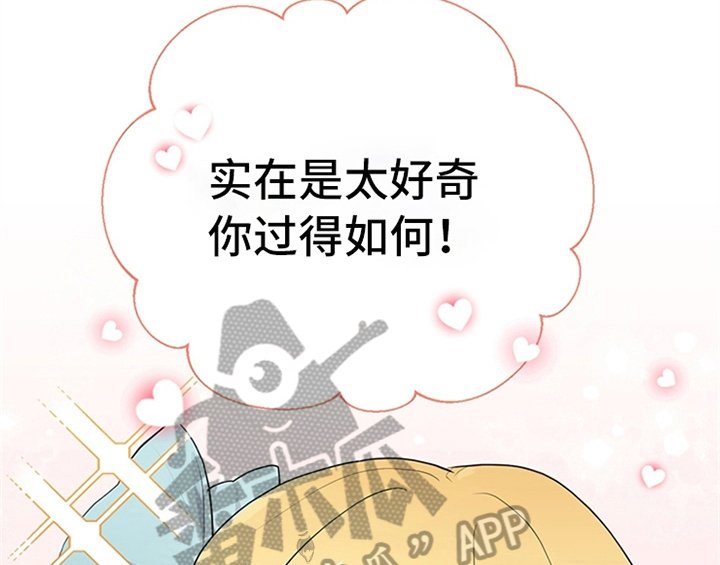 第19章：问答