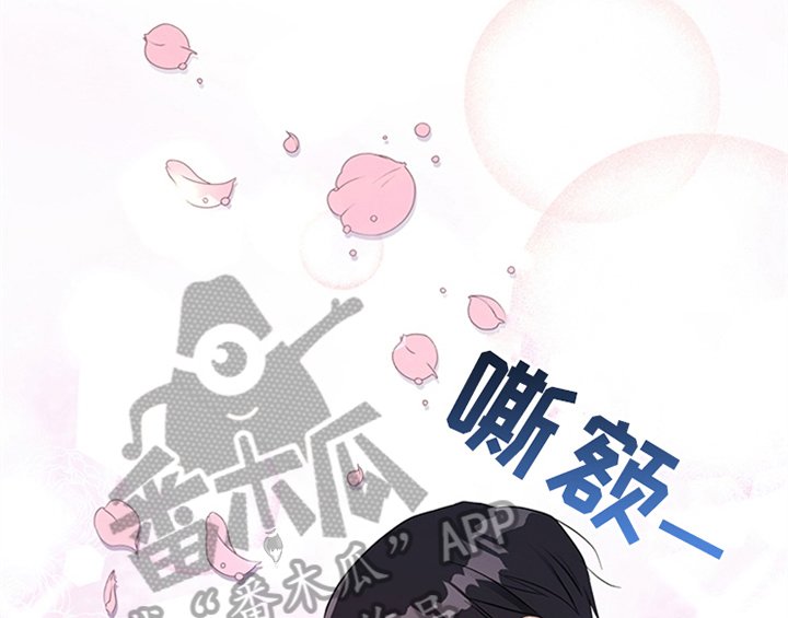第24章：拿枕头