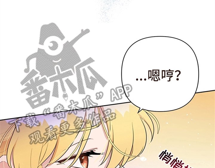 第24章：拿枕头