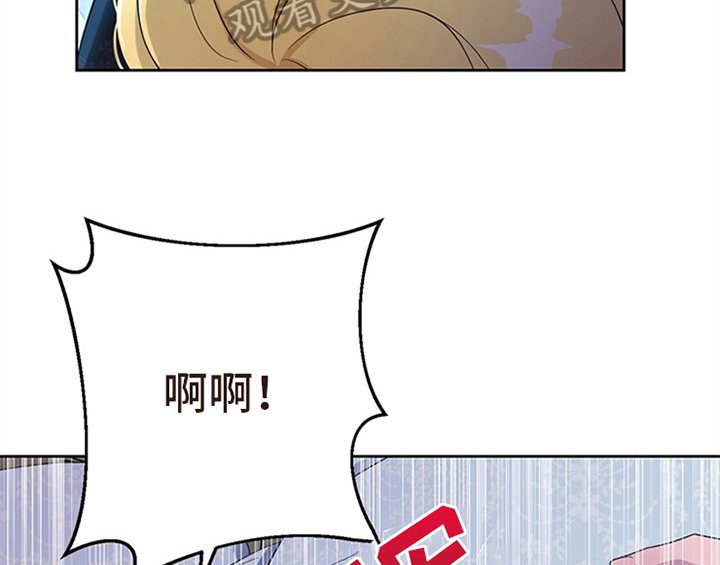 第24章：拿枕头