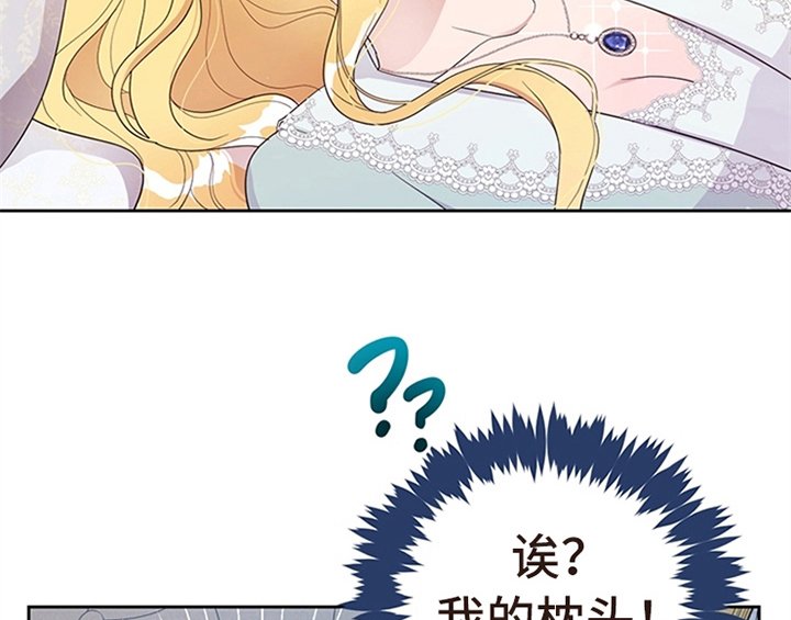 第24章：拿枕头