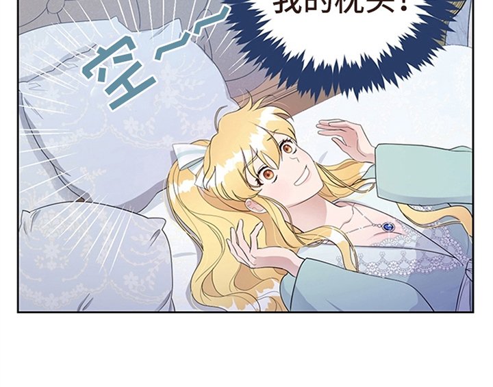 第24章：拿枕头