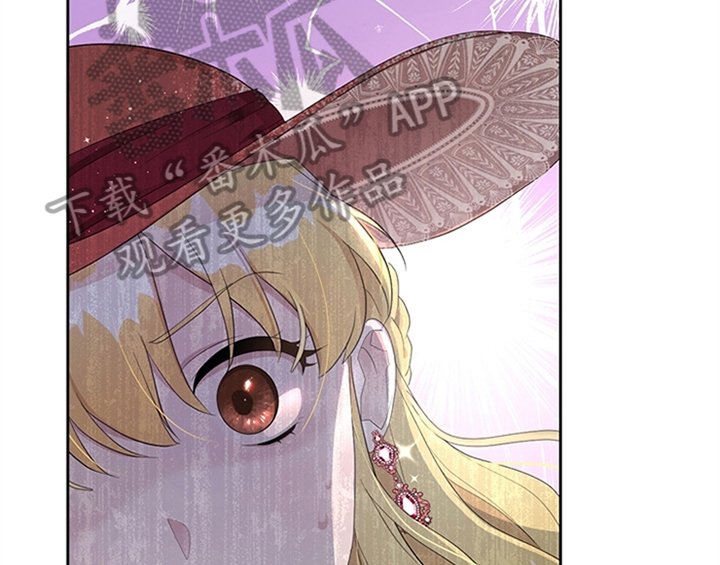 第28章：打算