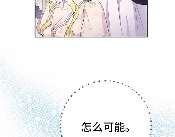 第28章：打算