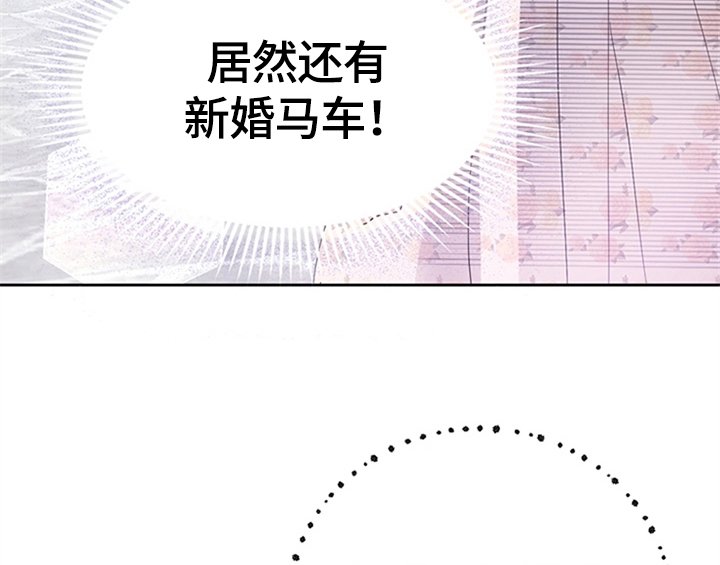 第28章：打算