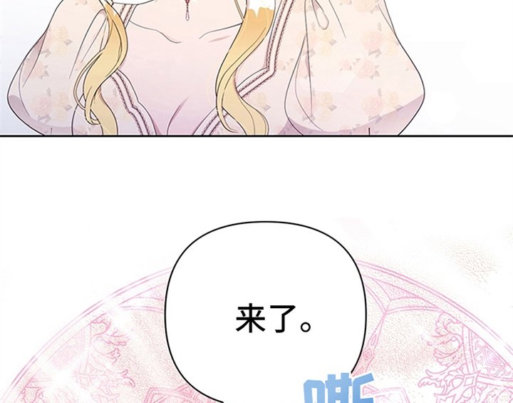 第28章：打算