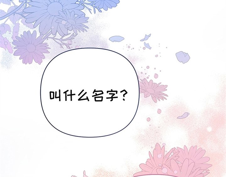 第5章：受伤
