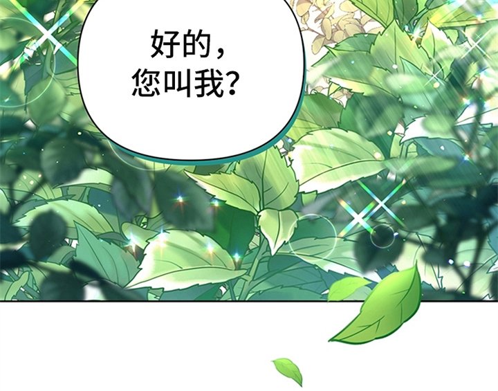 第8章：决定