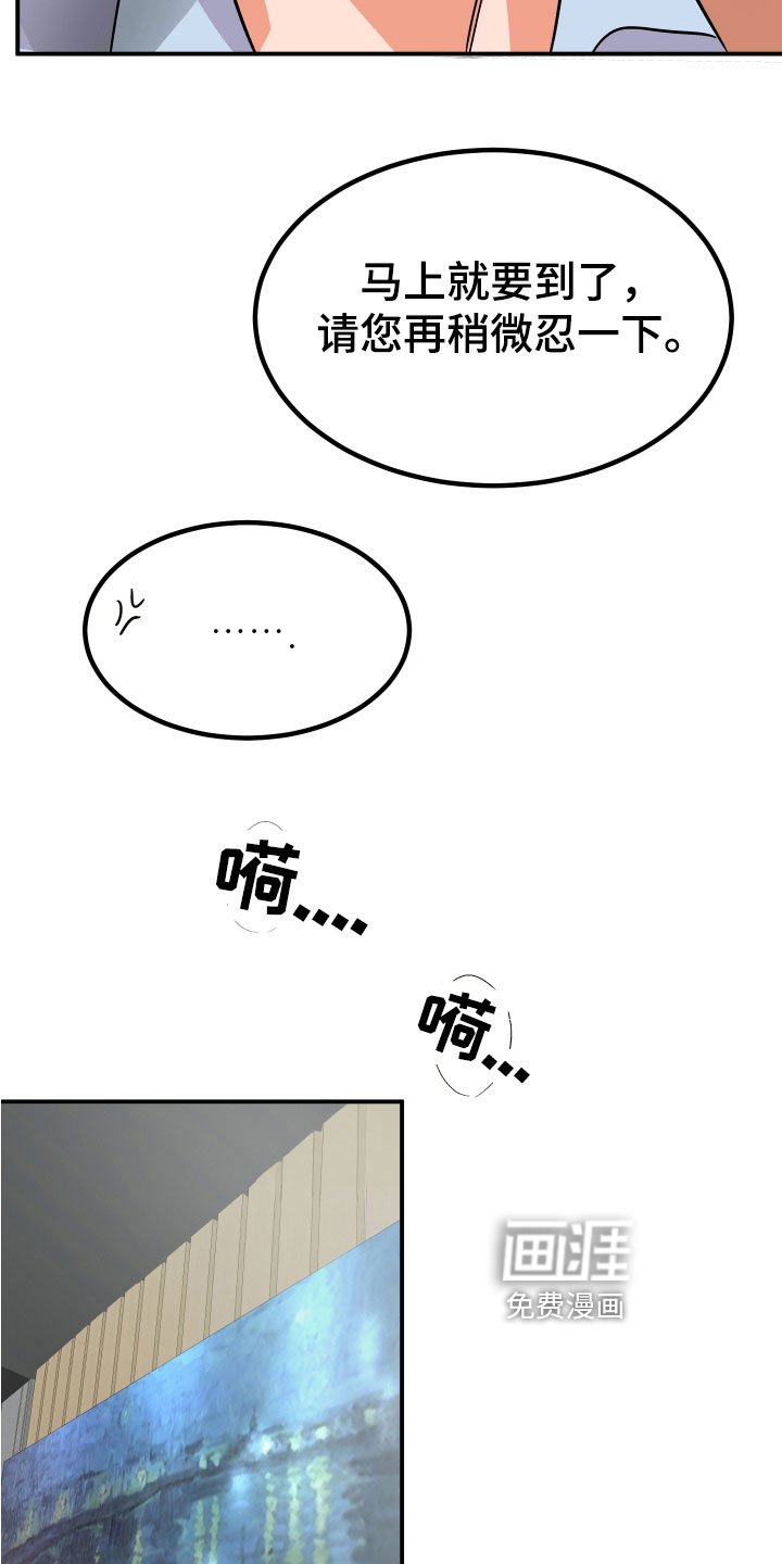 第12章：理由