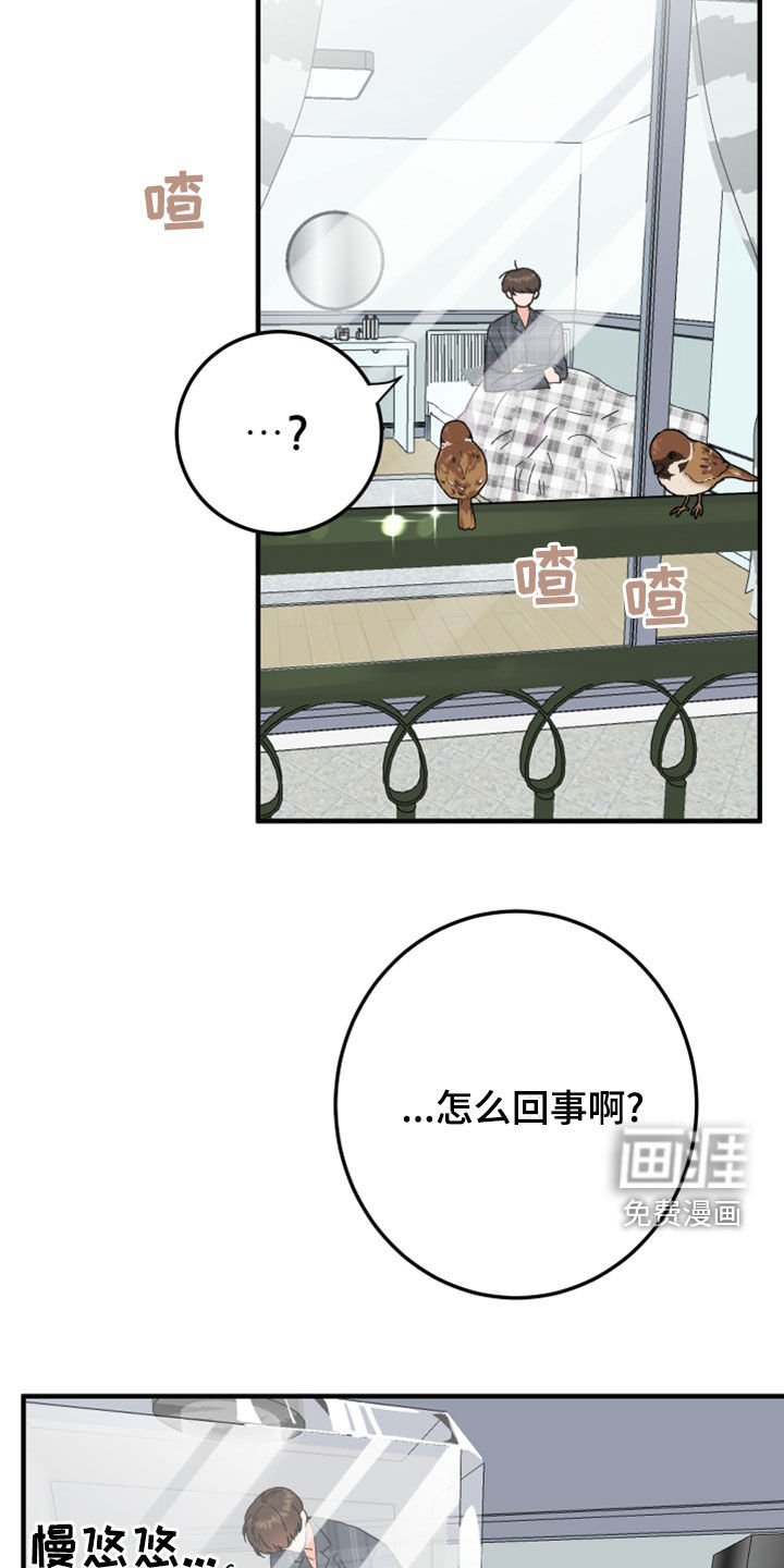 第22章：灵魂互换