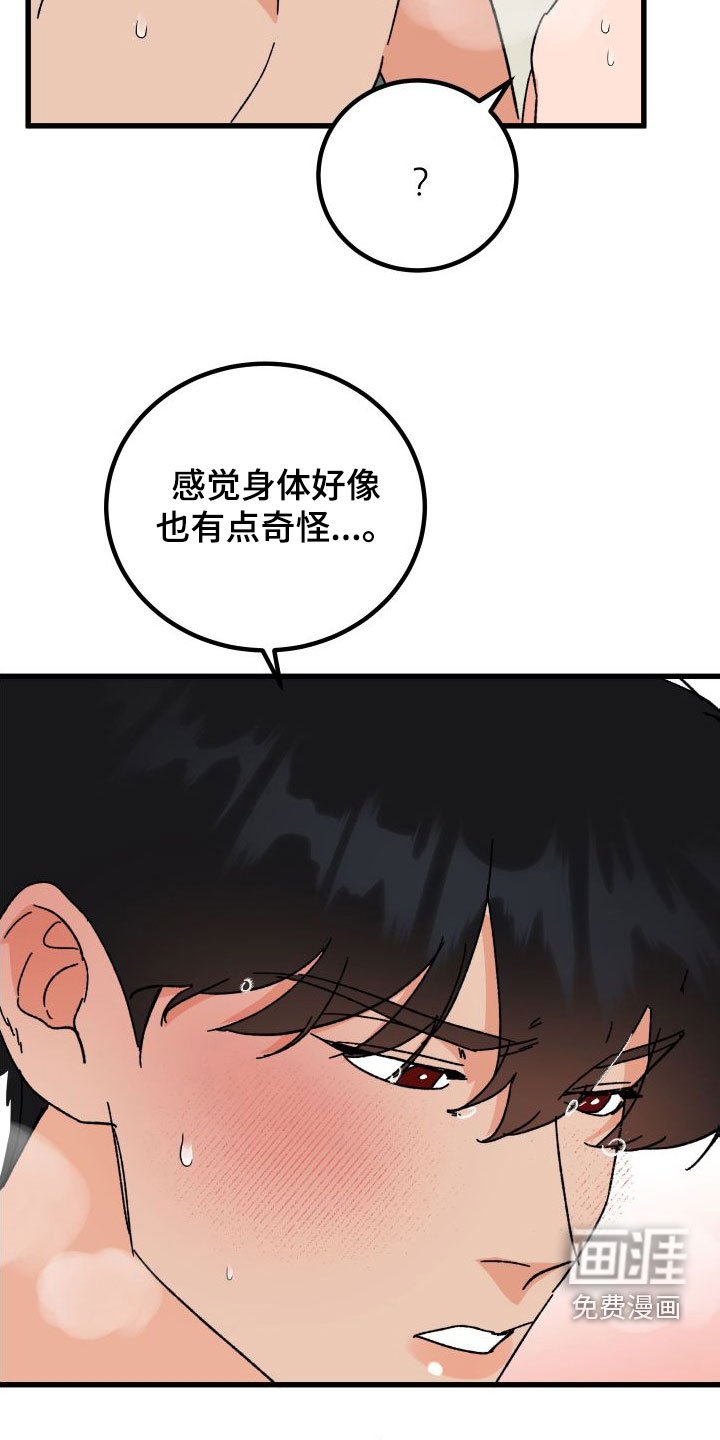 第34章：牧羊人