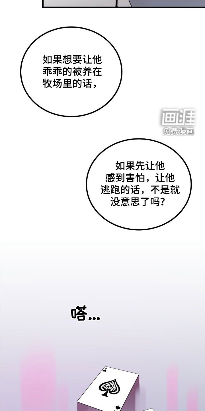 第34章：牧羊人