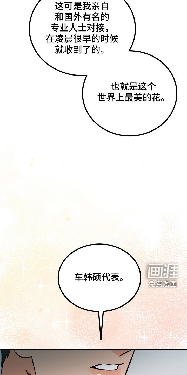 第41章：送花