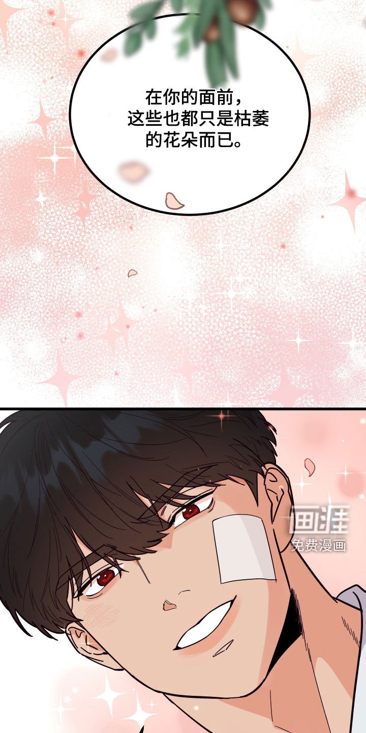 第41章：送花