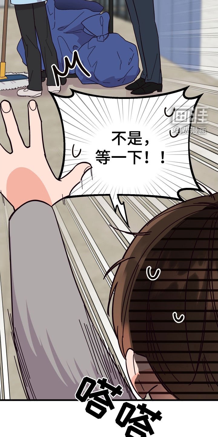 第42章：花粉过敏