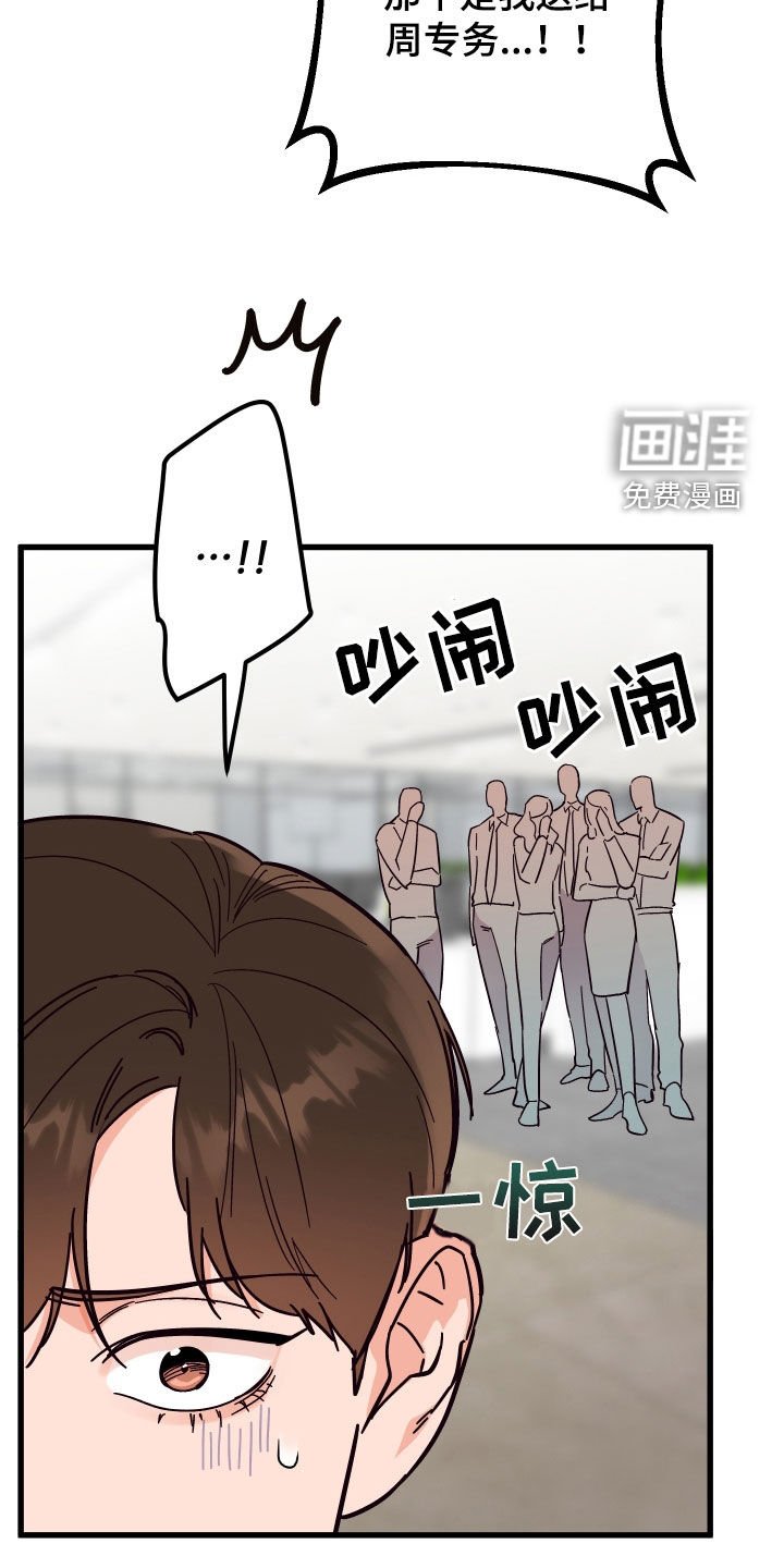 第42章：花粉过敏