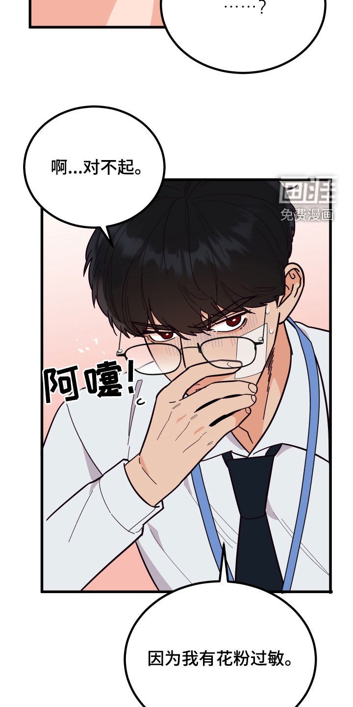 第42章：花粉过敏