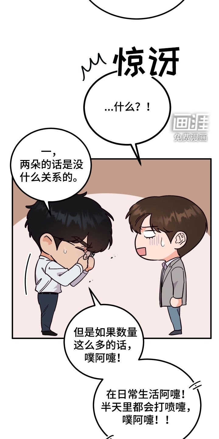 第42章：花粉过敏