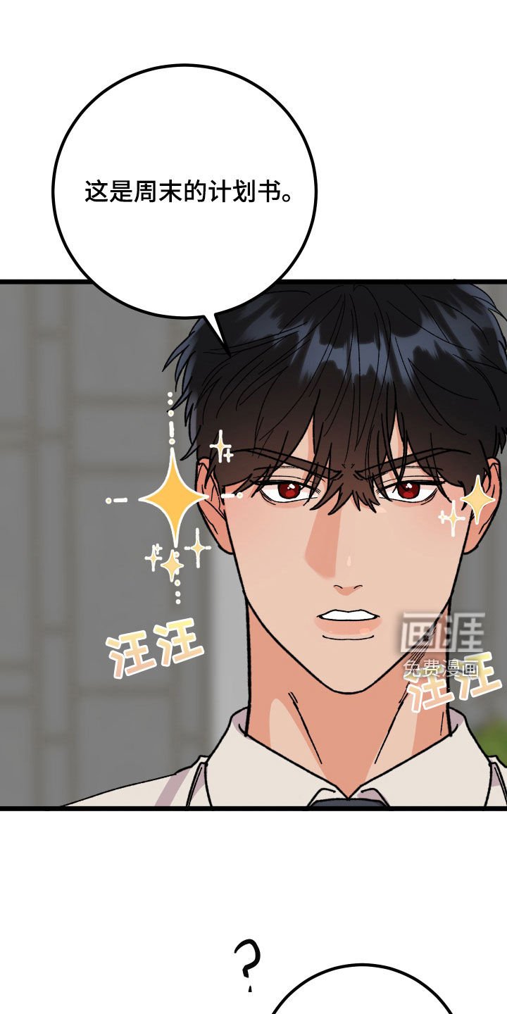 第61章：【第二季】约会机会书